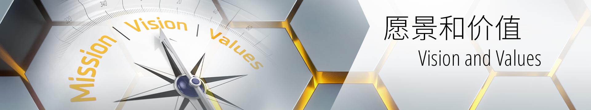 MAAG Group的愿景和价值